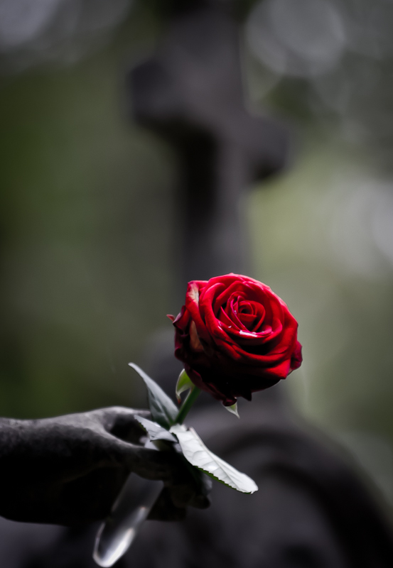 1210Sieglinde Senser S dfriedhof001